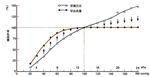 去美国看病机构