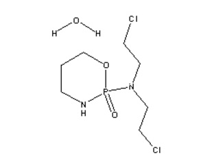 急性或慢性白血病治疗药物-阿糖胞苷（赛德萨）