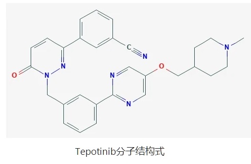 Tepotinib分子.jpg