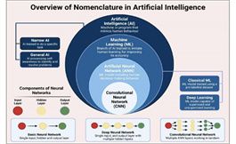 美国看病：AI 为准确的肝细胞癌诊断提供了希望